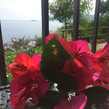 프라이아노 Casa Rosetta 빌라 외부 사진